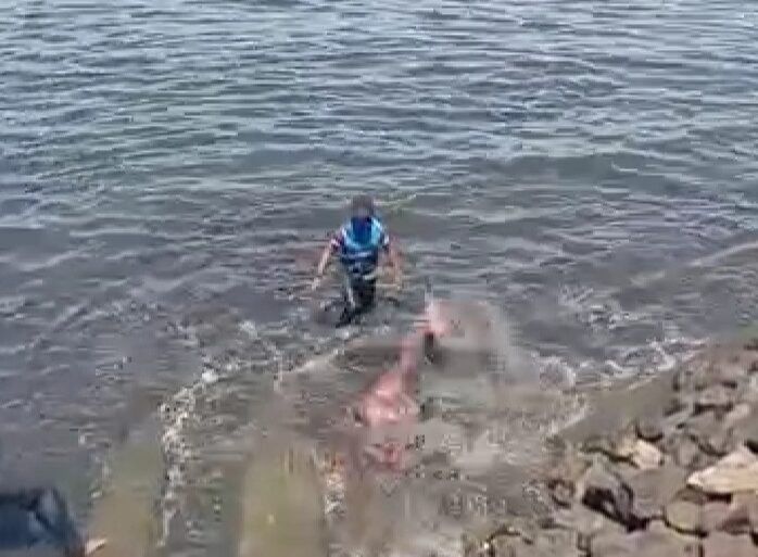 Prajurit TNI AL mencoba menyelamatkan ikan duyung yang terdampar.