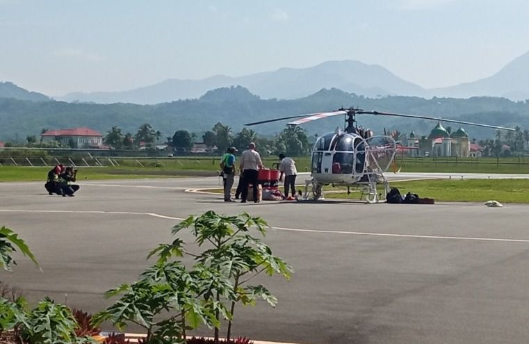 Harimau Sumatera yang akan dilepasliarkan beberapa waktu lalu diterbangkan dari bandara Depati Parbo, Kerinci.