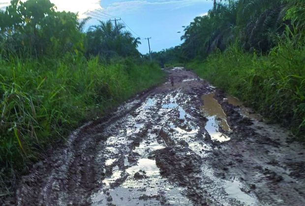RUSAK PARAH: Kondisi jalan menuju Kasang Melintang dan Pangkal Bulian, Kecamatan Pauh, Sarolangun, rusak parah 