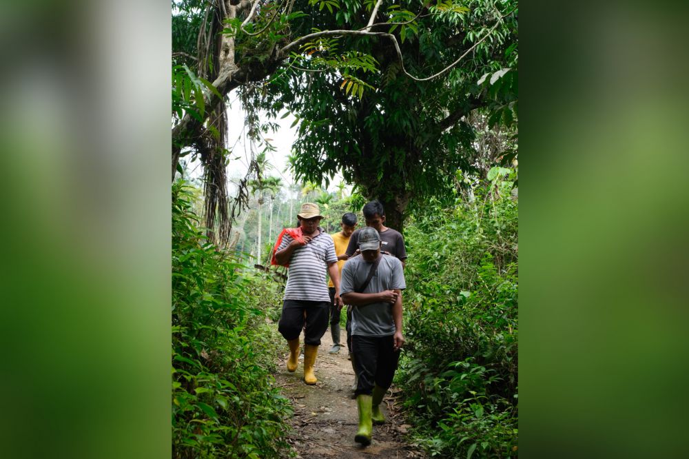 Ketika Pemuda Ikut Jaga Hutan