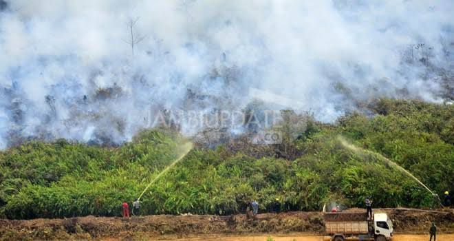 251 Titik Panas di Tanjabbar, TNBS Tanjabtim Rawan Karhutla