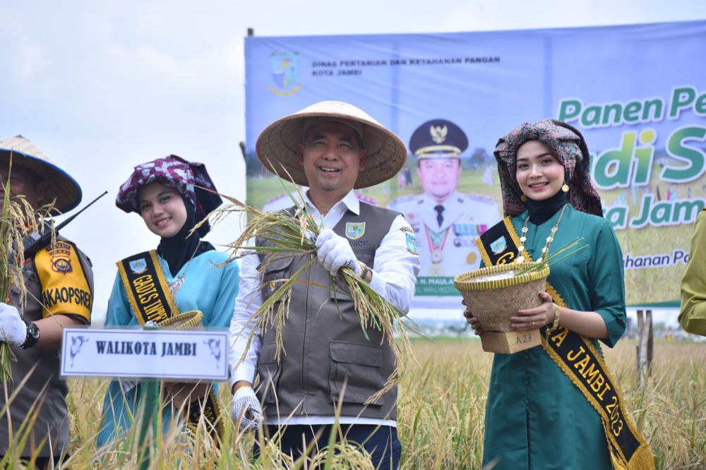 Upaya Pengendalian Inflasi, Fasha Panen Perdana Padi Sawah