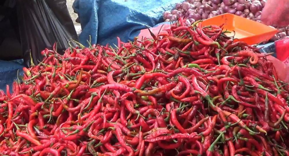 Pedagang cabai yang menjajakan cabai merah di Pasar Tradisional Sengeti Muaro Jambi.