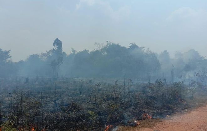 Petugas BPBD, TNI/Polri, Manggala Agni, Damkar Muaro Jambi dan masyarakat setempat berjibaku memadamkan api yang melahap hutan dan lahan di RT.13 Dusun Kali Aro Desa Pematang Gajah Kecamatan Jaluko Kabupaten Muaro Jambi.