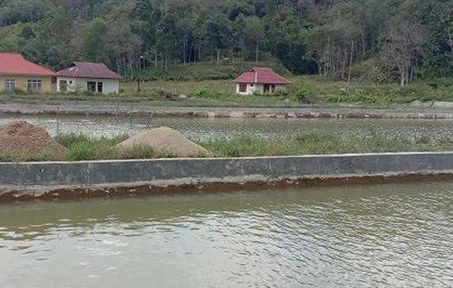 Kolam Ikan di PBAT Kerinci yang berisi ratusan ribu benih ikan, namun minim peminat. 