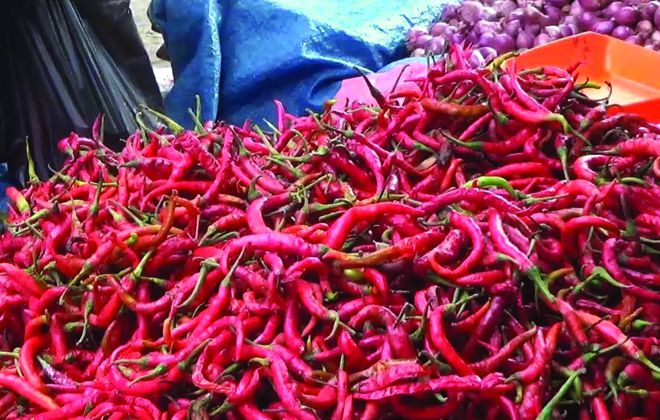 Penjualan cabai merah di Pasar Tradisional Sengeti Muaro Jambi