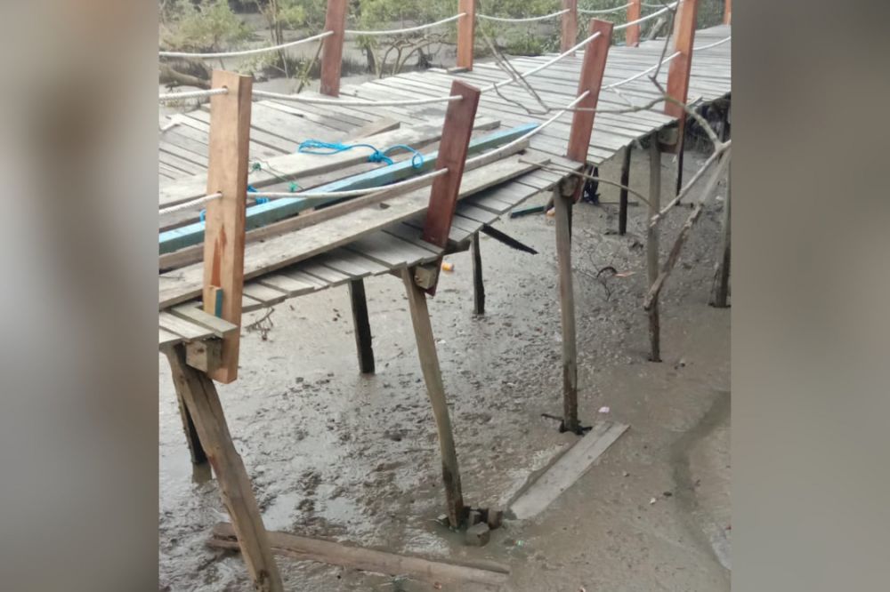 Akibat tidak bisa menahan beban berat, Jembatan Mangrove Pangkal Babu nyaris roboh saat pengunjung ramai.