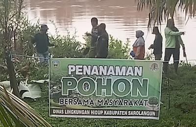 Petugas DLH Sarolangun, saat melakukan penanaman pohon disepanjang pinggir Sungai Tembesi.