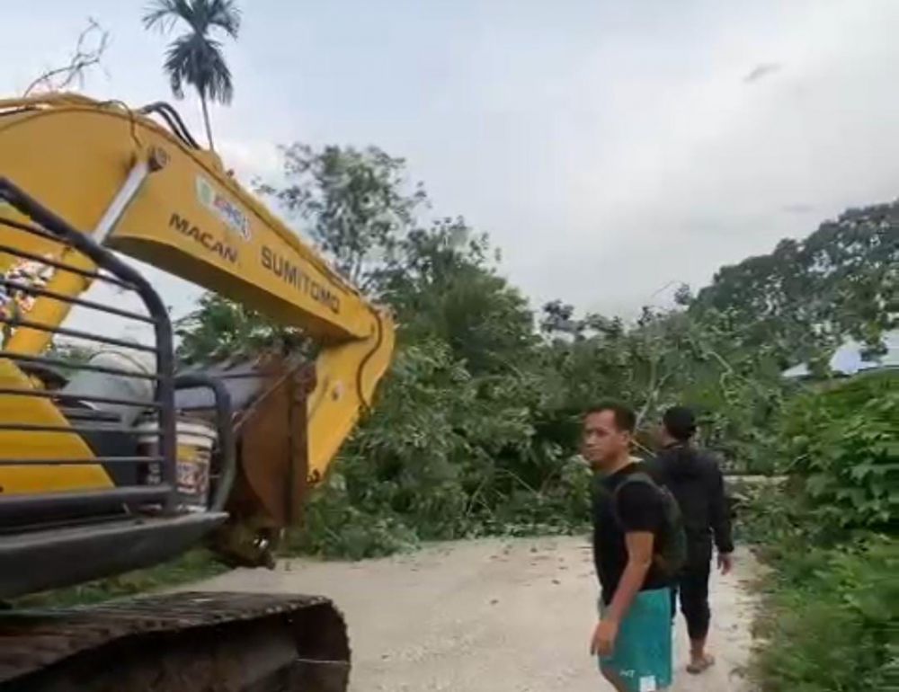 Alat berat milik PT SDP ikut serta membantu warga dan pemerintah daerah dalam mengevakuasi pohon tumbang yang menutupi akses masyarakat