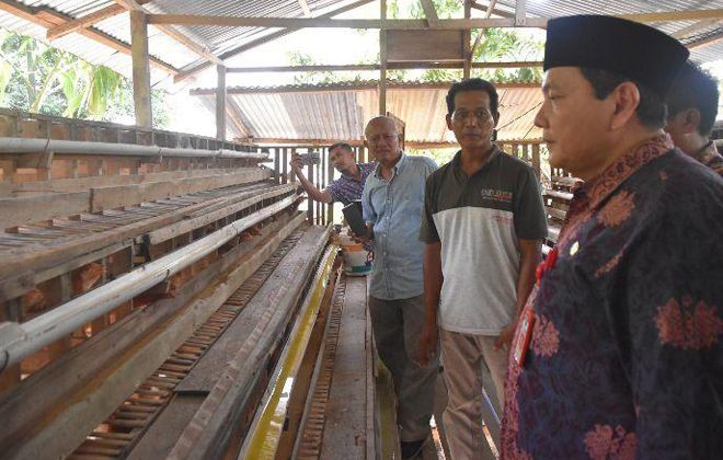 Pj Bupati Sarolangun Bachril Bakri saat mengunjungi peternakan ayam petelor di Kecamatan Singkut.