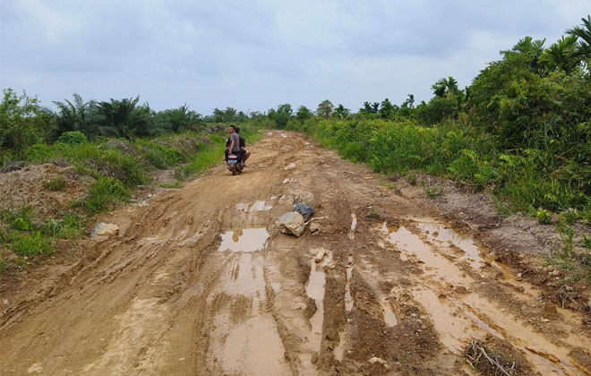 Kondisi  jalan rusak parah di Dusun Nusantara Desa Lumahan Kecamatan Senyerang.Tanjabbar.
