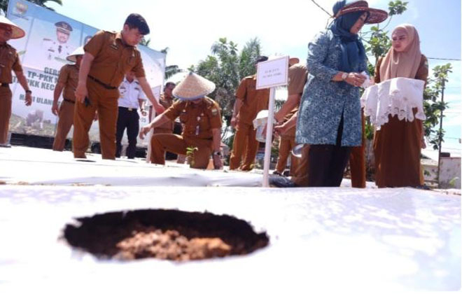 Kegiatan Gerakan Tanam Cabai (Gertam Cabai) bersama TP. PPK Kabupaten Muaro Jambi.