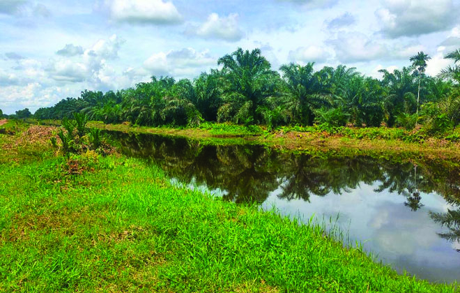 Tampak sungai di Desa Jati Mulyo yang sudah dilakukan pembersihan oleh BWSS VI Jambi 