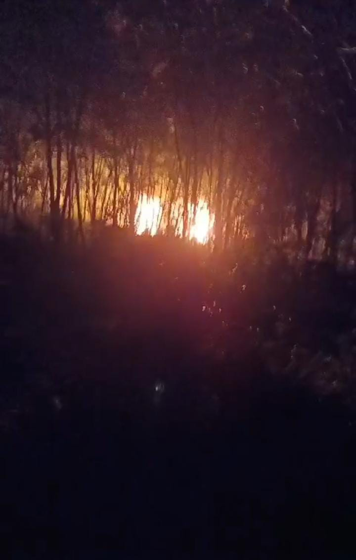 Sumur Minyak Ilegal di kawasan tahura kembali Terbakar, 3 Pekerja alami Luka Bakar serius