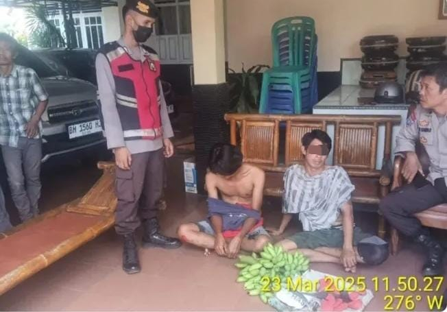 Dua Pria di Jambi Diamankan karena Mencuri Pisang, Kasus Berakhir Secara Keluargaan