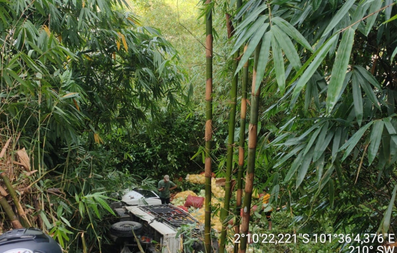 Mobil Pembawa Sayur Masuk Jurang di Batang Merangin