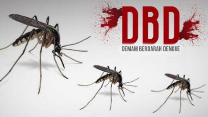 Hingga April, Kasus DBD di Batanghari Tercatat 69 Kasus