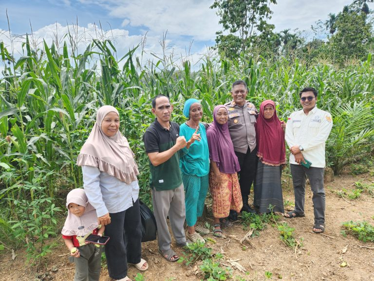 Dusun Jumbak Wujudkan Ketahanan Pangan Melalui Pertanian Masyarakat