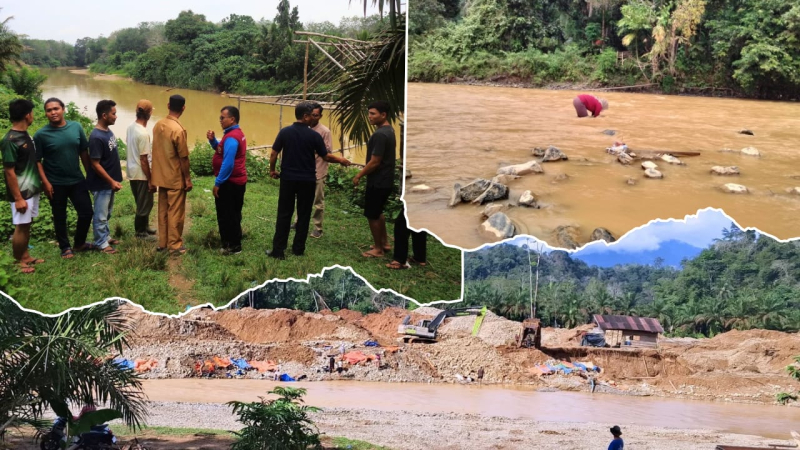 Data Penelitian: Ekosistem Sungai Batang Bungo Kritis Akibat Merkuri, Spesies Ikan Terancam Hilang