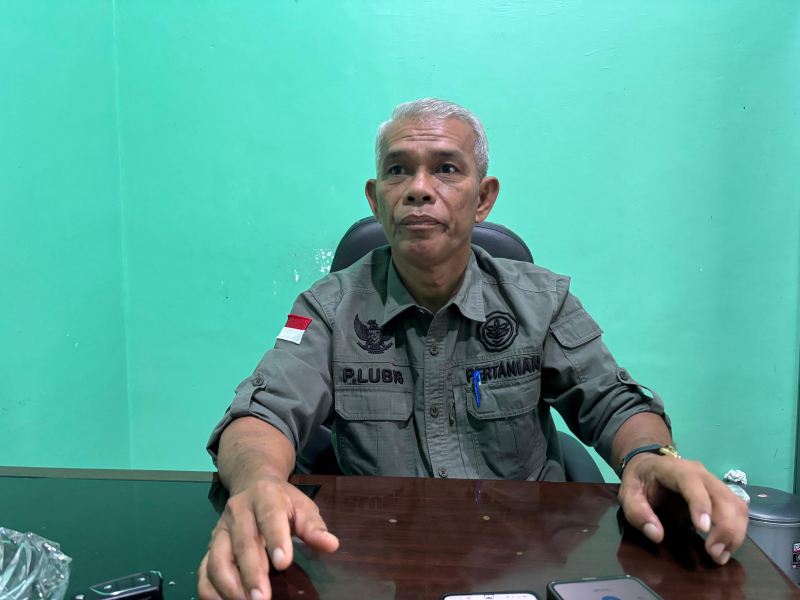 Kepala Dinas Tanaman Pangan dan Hortikultura (DTPH) Kabupaten Muaro Jambi, Paruhuman Lubis.