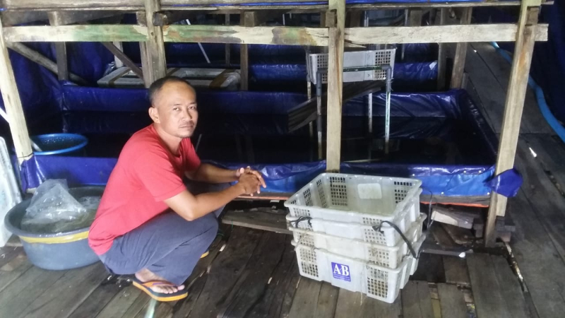 Salah satu tempat penampungan udang ketak di Kecamatan Kuala Jambi