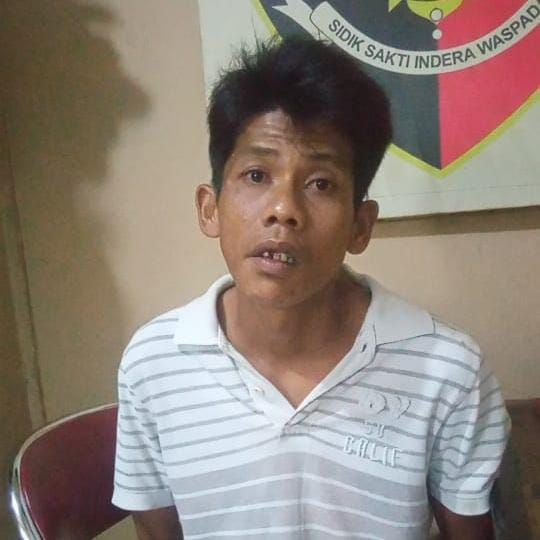 Bujang Asoi Diringkus Polisi Usai Curi Dua Ekor Kambing