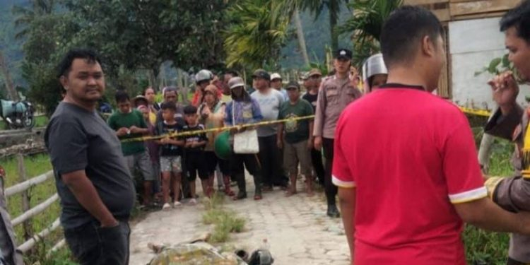 Heboh! Warga Sungai Penuh Temukan Mayat Pria di Persawahan, Polisi Selidiki Penyebab Kematian