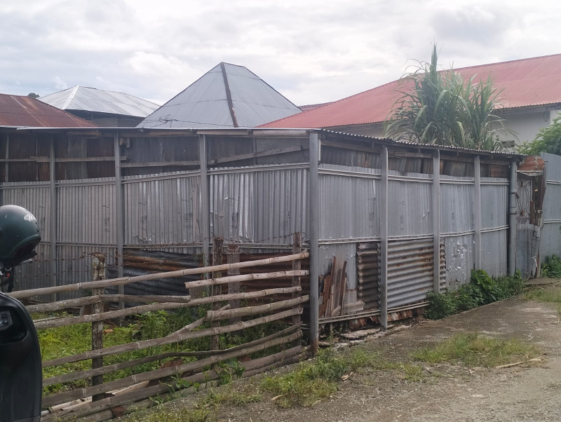 Lima Tahun Tersiksa Bau Sapi, Warga Koto Tuo Minta Kandang Dipindah dari Pemukiman