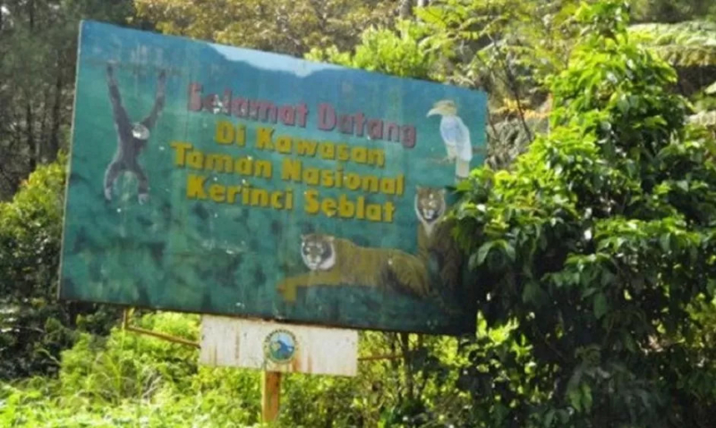 Kejari Sungai Penuh Usut Dugaan Jual Beli Lahan Ilegal di Kawasan TNKS