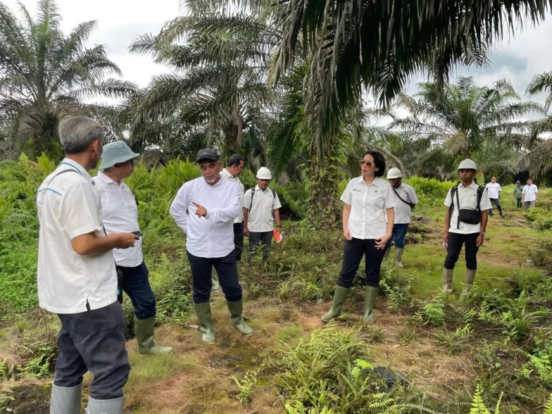 Direksi Palmco Pastikan Target Produksi PTPN Regional 4 Tercapai