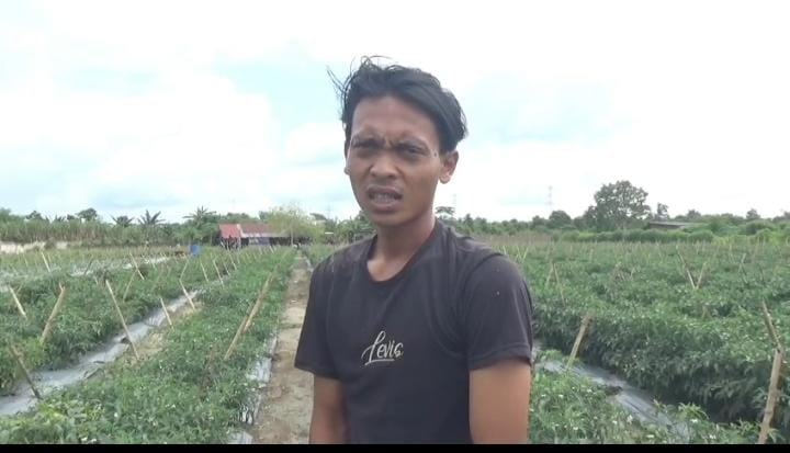 Salah seorang petani, Nurhadi.