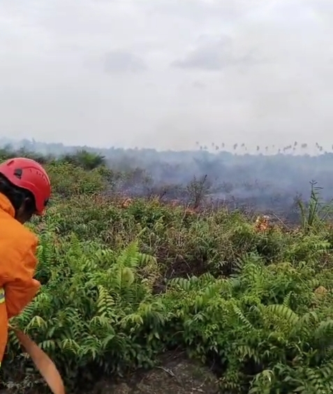 Lahan di Desa Lagan Tengah, Kecamatan Geragai terbakar, terlihat petugas sedang melakukan pemadaman 