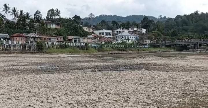 Danau Kerinci Terus Menyusut Parah, Sawah Terancam Kekeringan dan Nelayan Kehilangan Tangkapan
