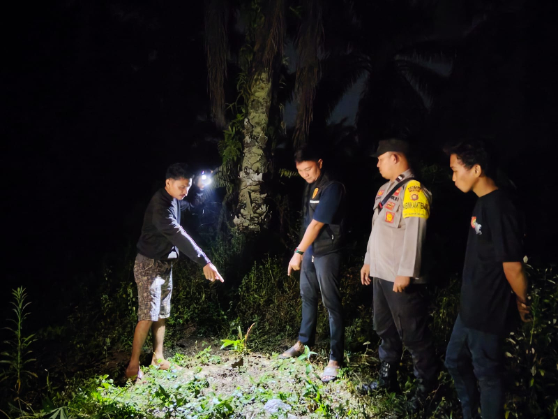 Petani Sawit di Bahar Utara Ditemukan Tewas di Kebun, Diduga Tersengat Arus Listrik