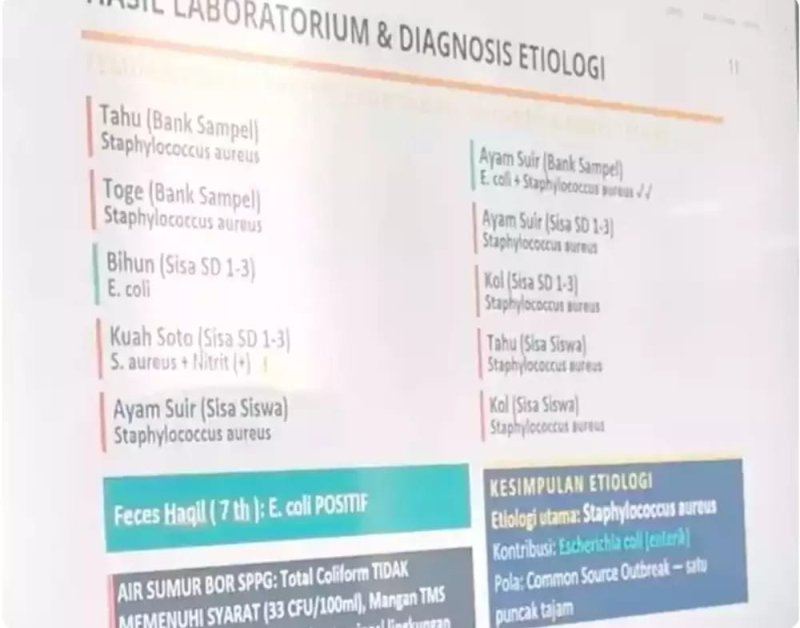 Kontaminasi Bakteri pada Makanan jadi Penyebab Keracunan MBG di Muaro Jambi