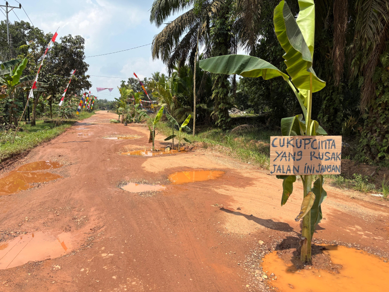 Protes Jalan Rusak, Warga Talang Belido Tanam Pisang di Badan Jalan