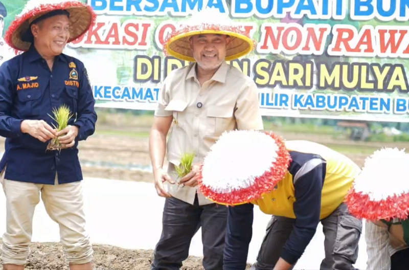Perkuat Ketahanan Pangan, Bupati Dedy Putra Dorong Inovasi Padi Nutrizing di Bungo