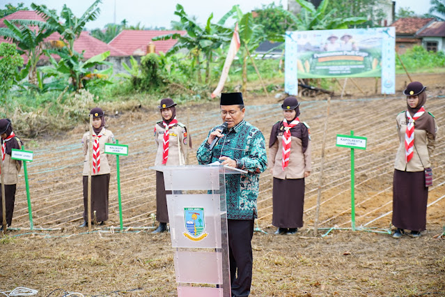 Libatkan 500 Pelajar Pramuka, Maulana Kembangkan Padi Gogo di Tengah Kota: Lahan Tidur Disulap Jadi Edukasi dan Ketahanan Pangan