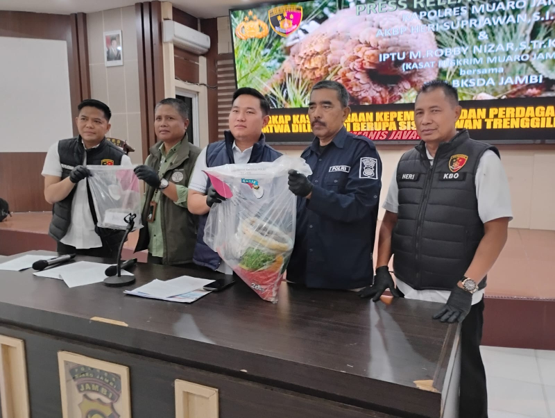 Polisi Gagalkan Perdagangan Sisik Trenggiling, Dua Pelaku Dibekuk di Bahar Selatan