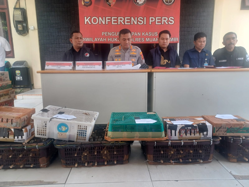 Polres Muaro Jambi Ungkap Perdagangan Satwa Dilindungi, Ratusan Ekor Burung Diamankan